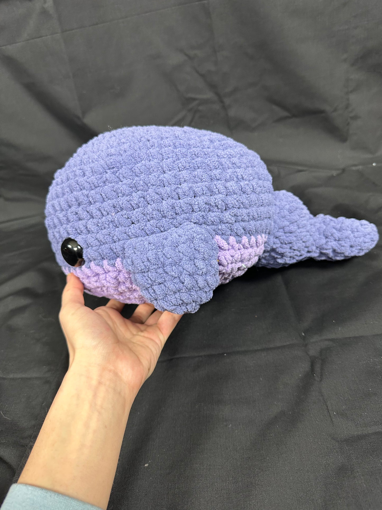 Squishy Whales